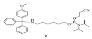 5'-Modifiers1