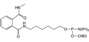 5'-Modifiers 2