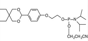 5'-Modifiers6