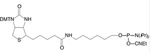 Etichettatura della biotina2