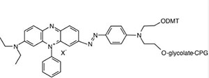 Li-Black Hole Quencher Dyes4