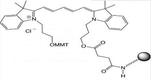 Cyanine Dyes2