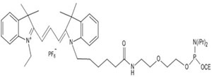 Cyanine Dyes4