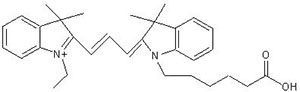 Colorants cyanines6