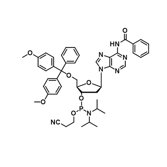 Best Phosphoramidite for DNA RNA Synthesis manufacturers and suppliers