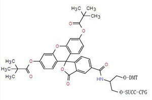 Fluorescentna barvila 2