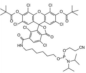 Fluorescentna barvila 4