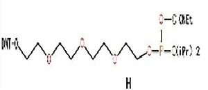 Spacer Modifiers6