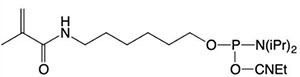 5'-Modifiers7