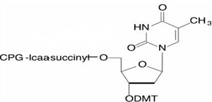 3'-Modifiers6